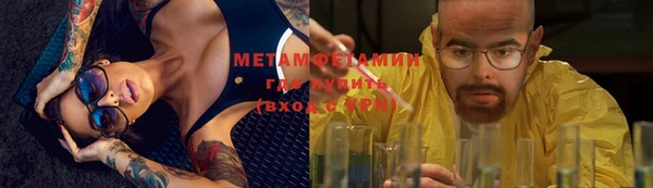 трава Богданович